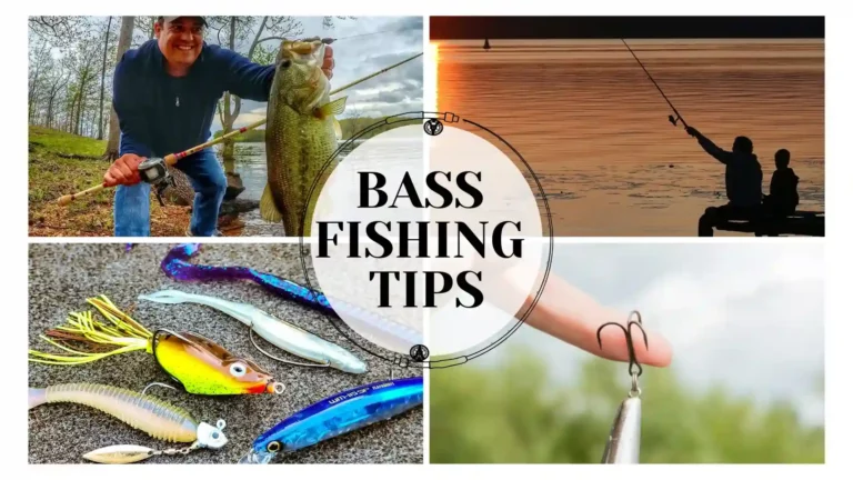 Bass Fishing Tips | How to Catch a Bass?