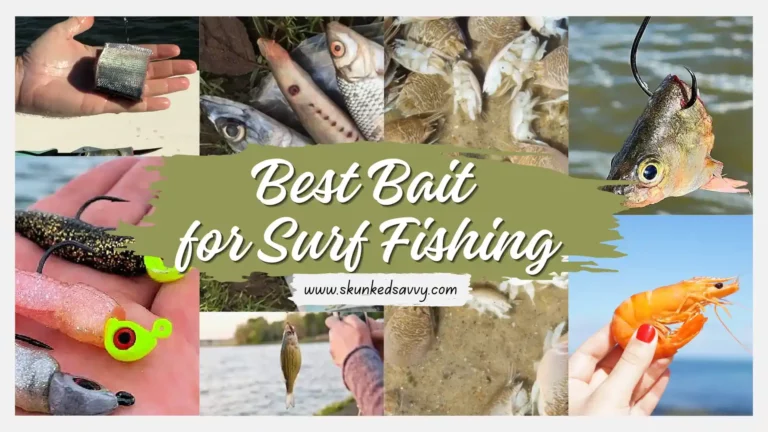 Best Bait for Surf Fishing (Top 10 for Most Catches)