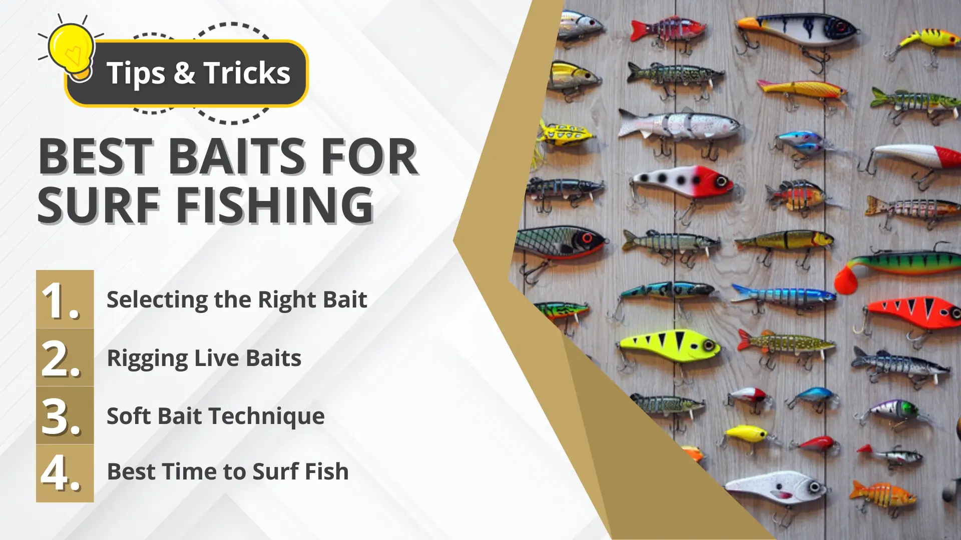 Best Baits for Surf Fishing