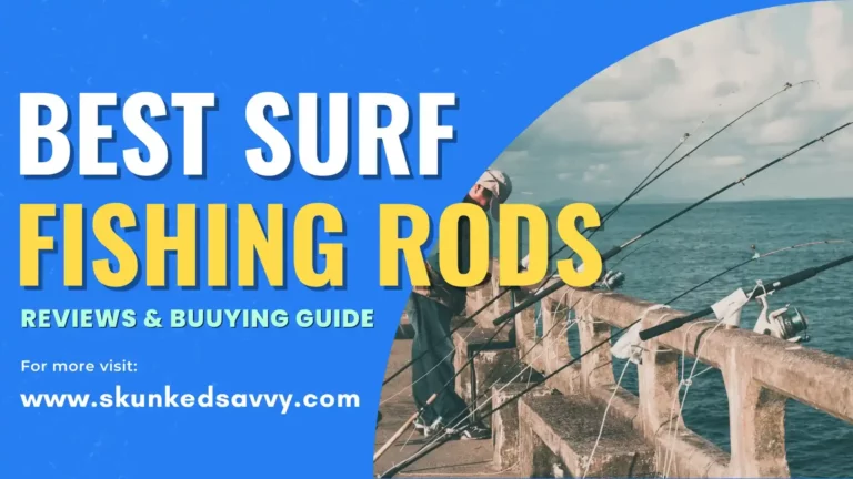 Best Surf Fishing Rods & Guide to Choose
