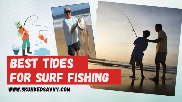 Best Tides for Surf Fishing (with Guide to Judge one)