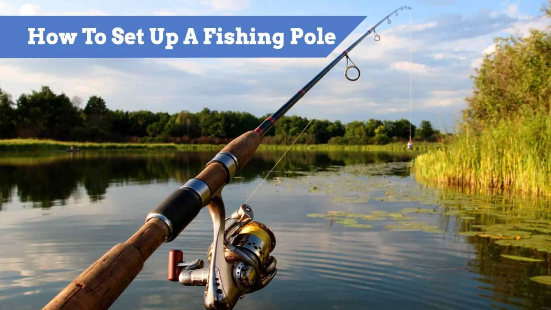 types of equipment to Set Up A Fishing Pole