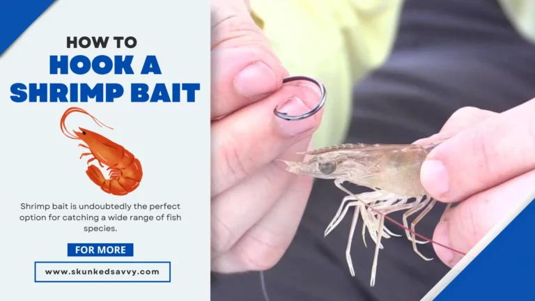 How to Hook a Shrimp Bait?