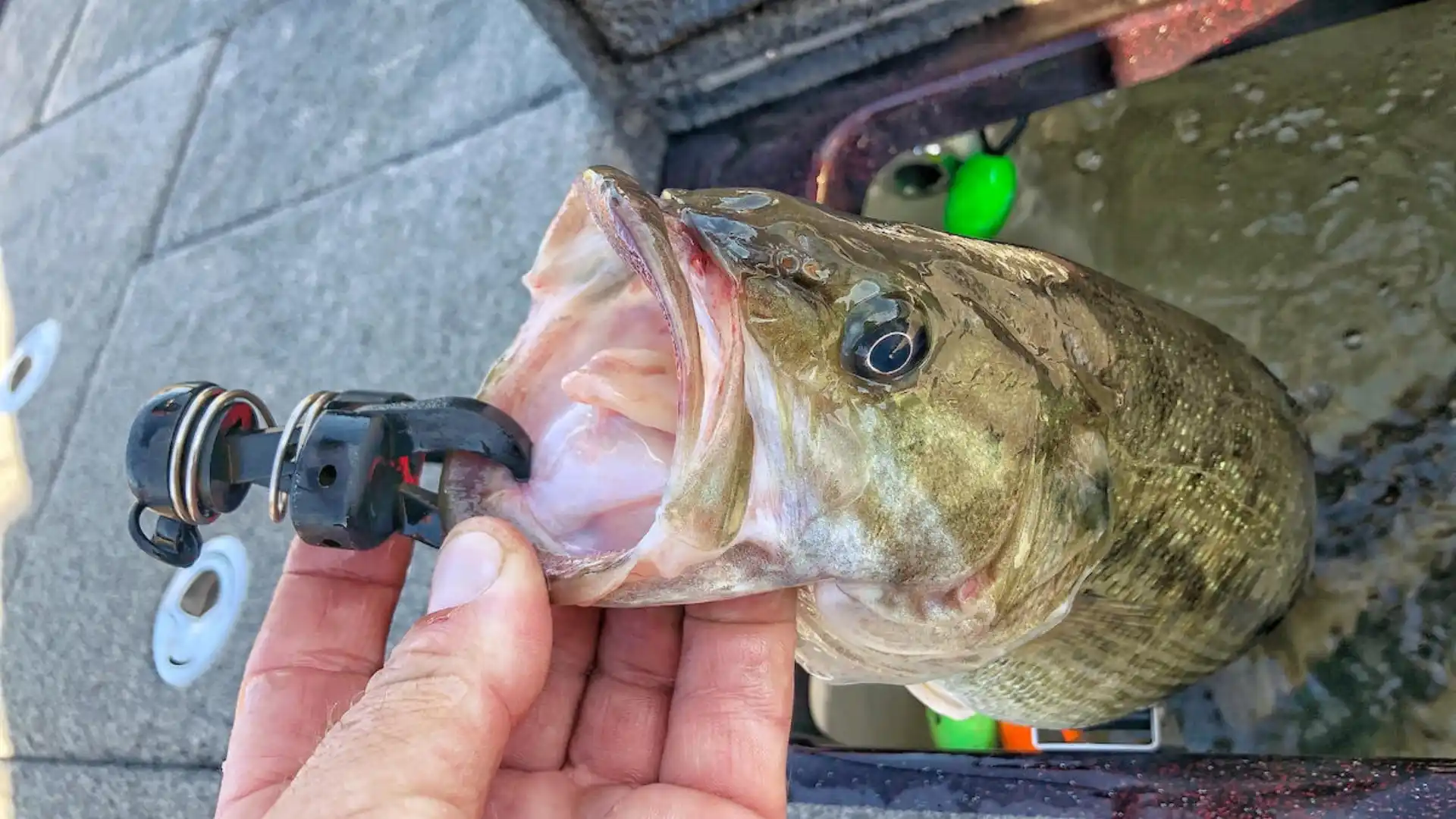 New Bass Fishing Techniques