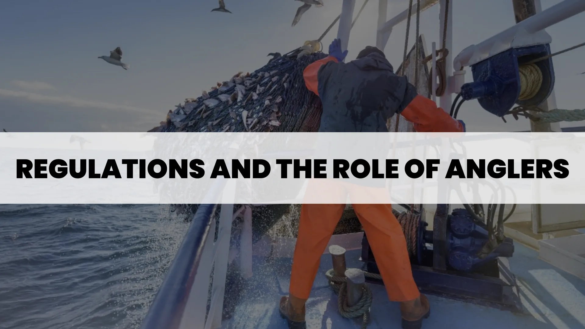 Regulations and the Role of Anglers