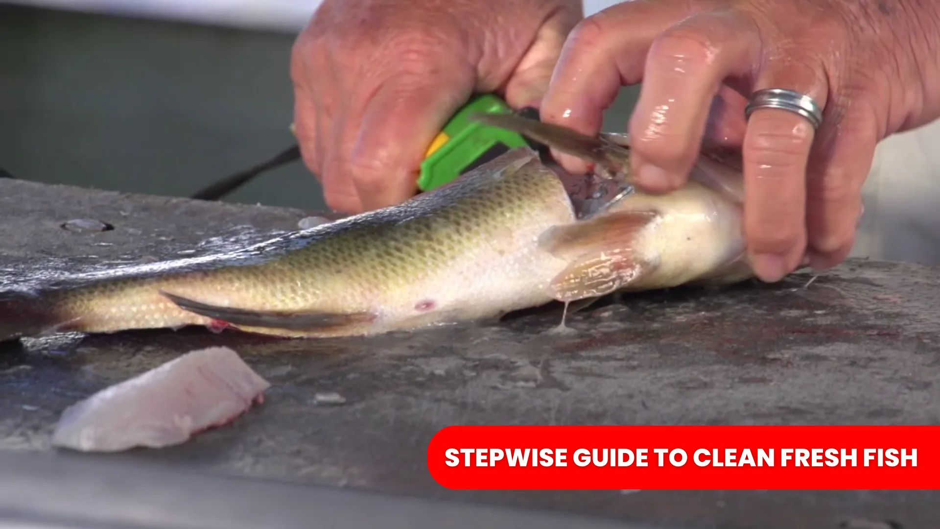 Stepwise Guide to Clean Fresh Fish