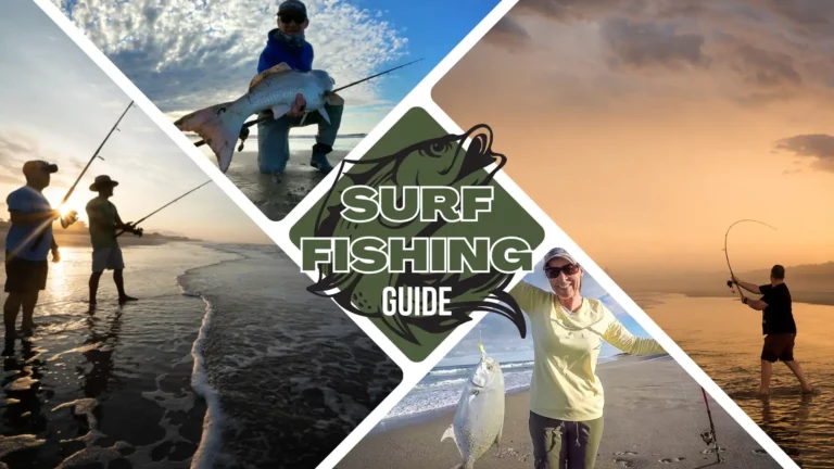 Surf Fishing Basics | Guide on How to Go Surf Fishing?