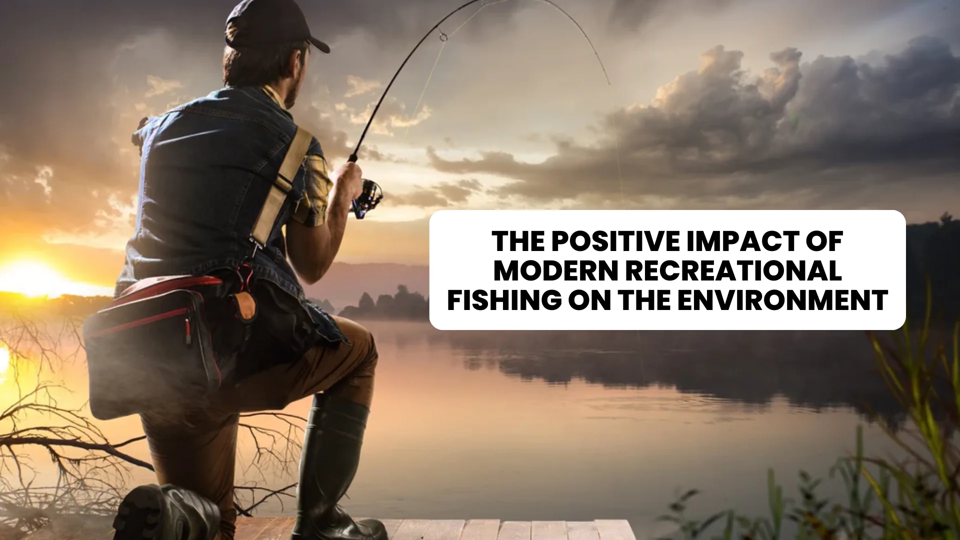 The Positive Impact of Modern Recreational Fishing on the Environment