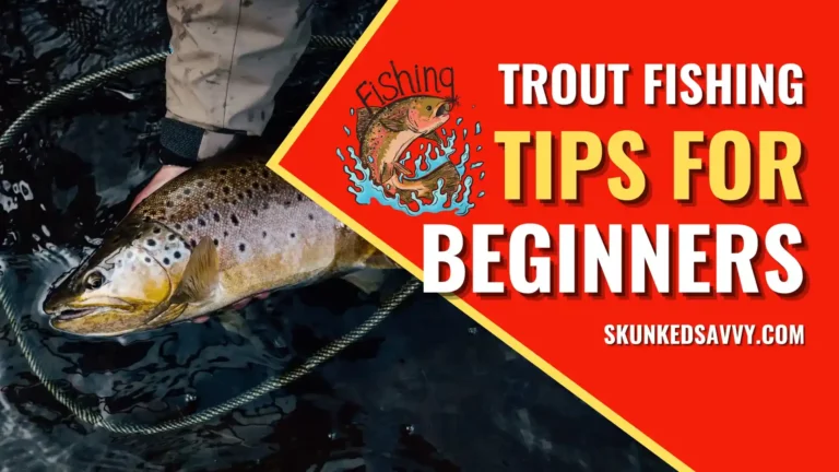 Trout Fishing Tips For Beginners