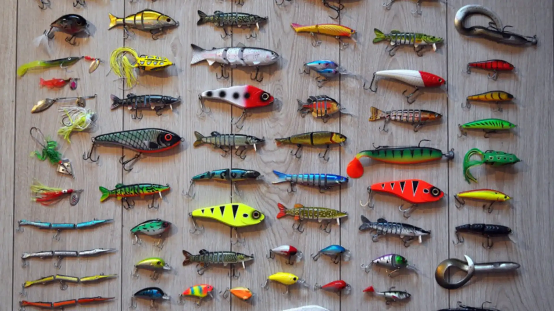 Types of Lures You Can Try