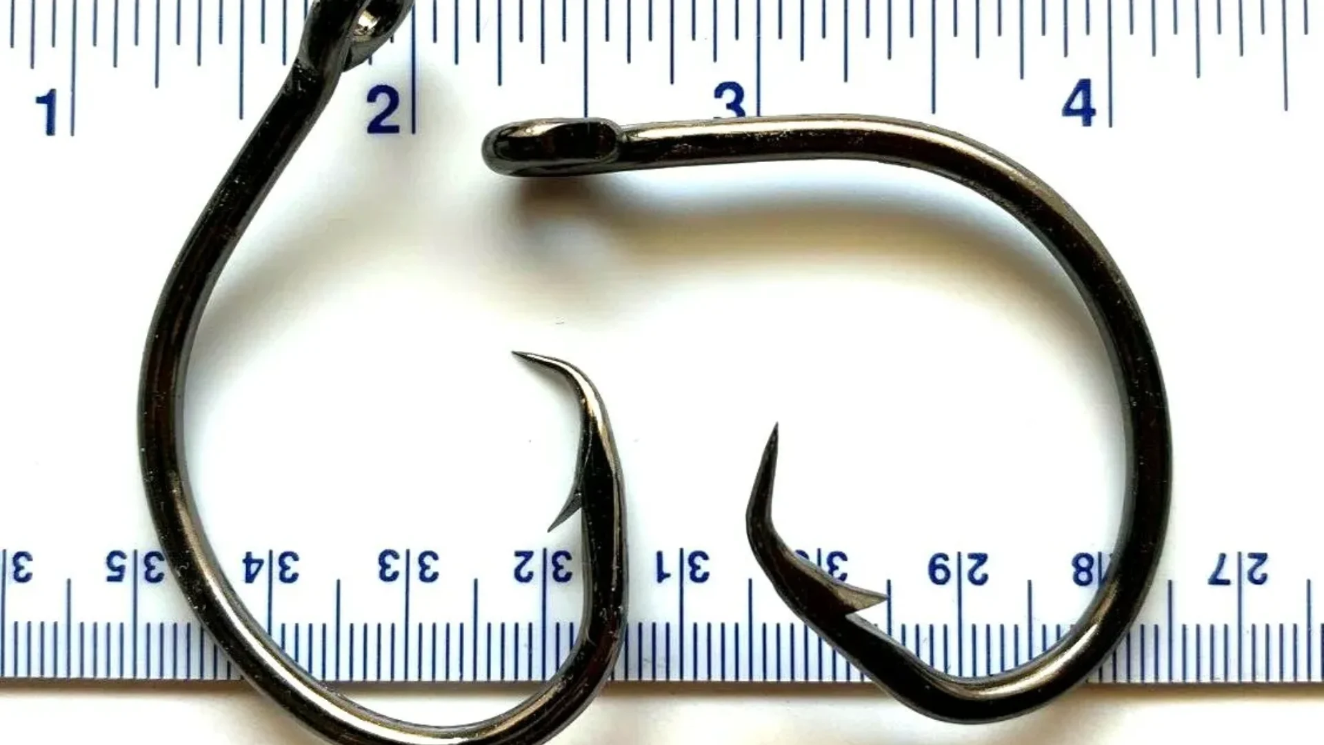 What Hook Size Works for Surf Fishing