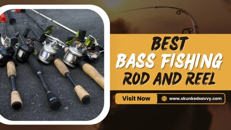 7 Best Bass Fishing Rod And Reel