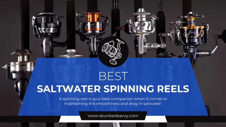 7 Best Saltwater Spinning Reels | Review & Guide