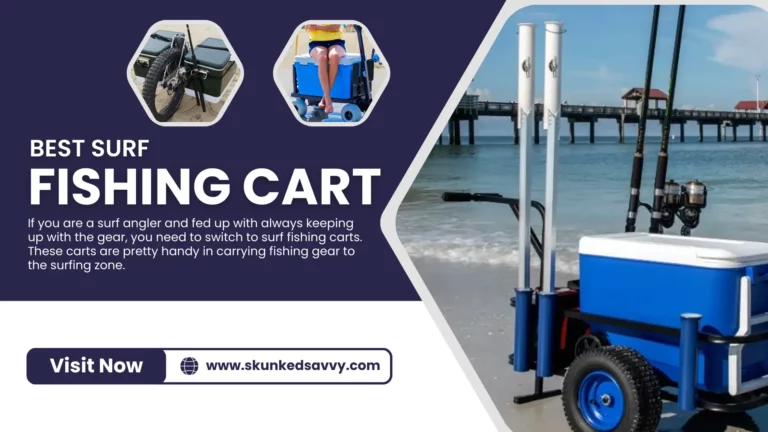 Best Surf Fishing Cart in 2024 Along with Buying Guide