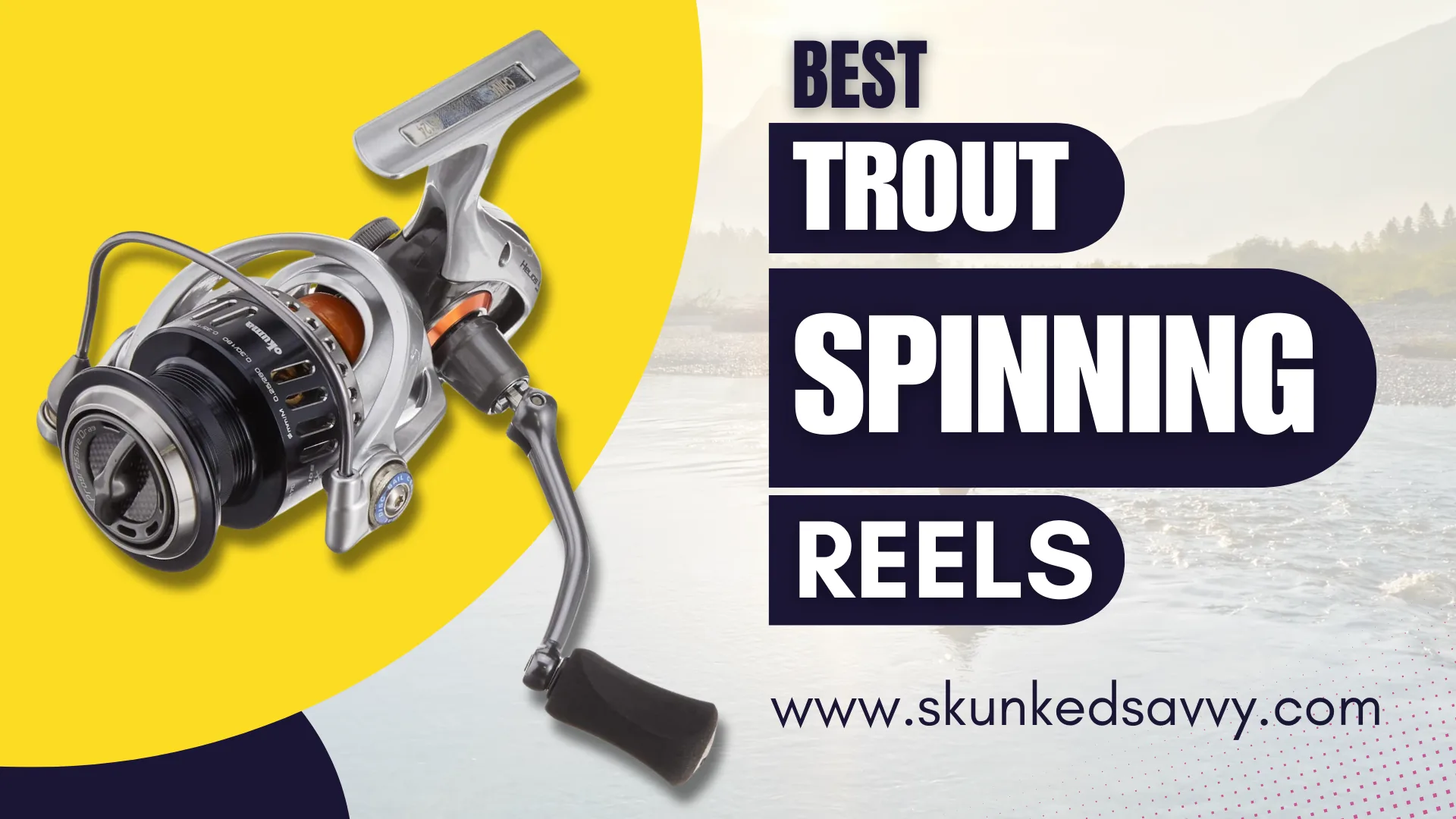 Best Trout Spinning Reels