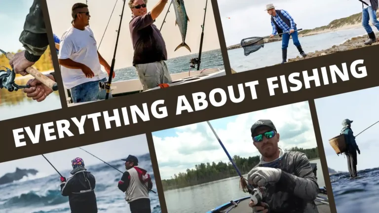 Everything About Fishing