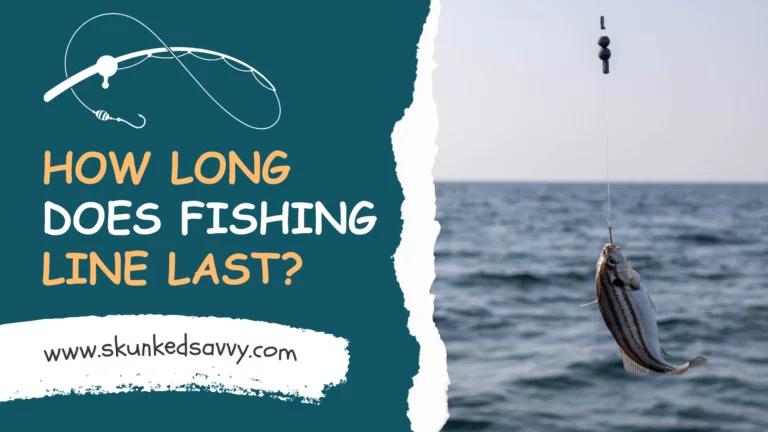How Long Does Fishing Line Last? Which  Type Lasts Longer?