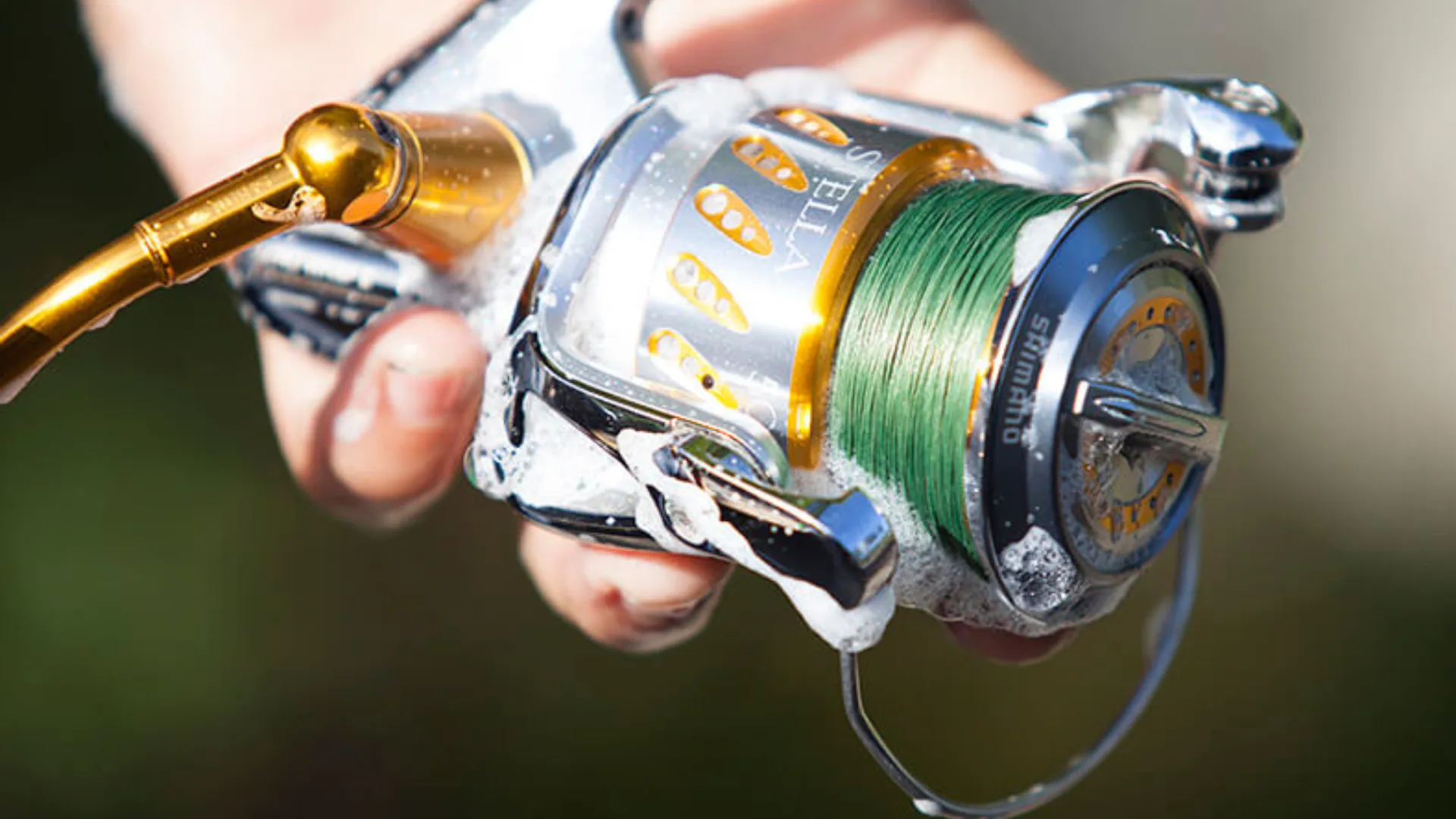 How To Clean a Fishing Reel Maintenance Tips