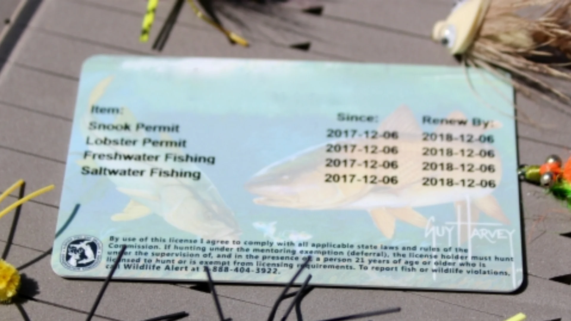 How To Get a Fishing License