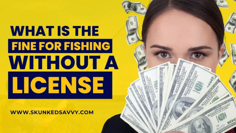 What Is The Fine For Fishing Without A License?