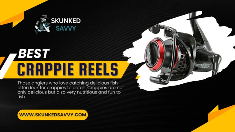 7 Best Crappie Reels – Review & Guide