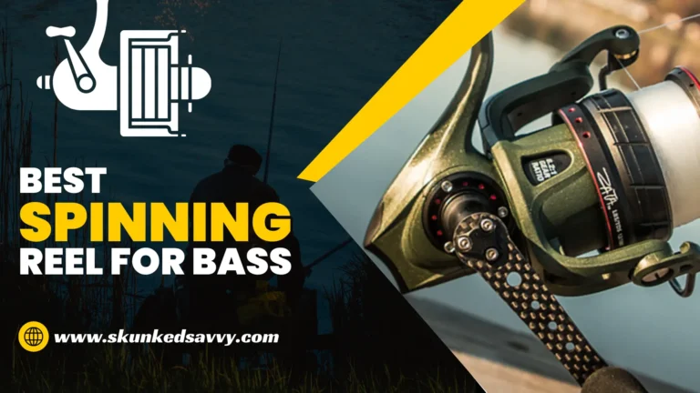Best Spinning Reels For Bass In 2024