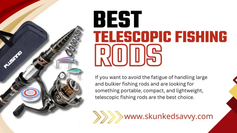 Best Telescopic Fishing Rods – High Accuracy!