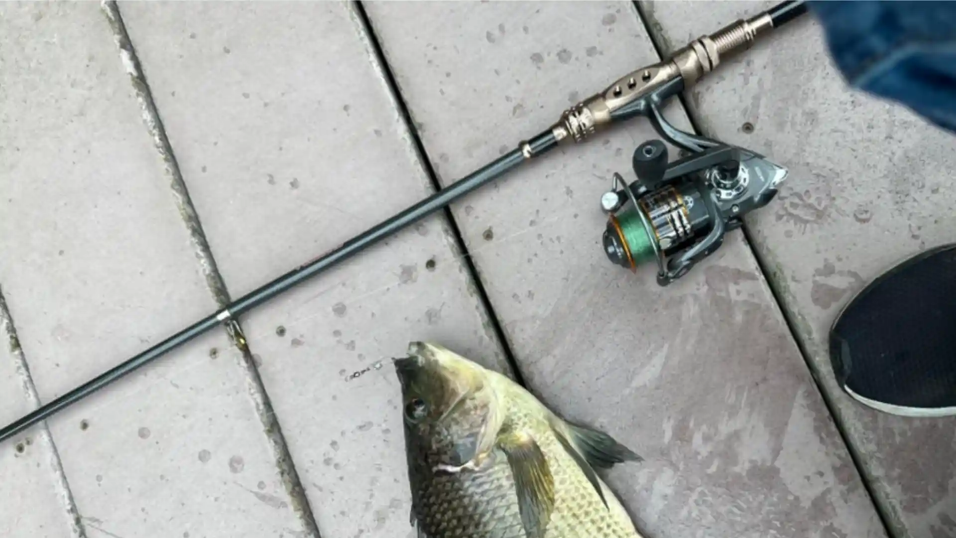 PLUSINNO Fishing Reel and Rod Combos