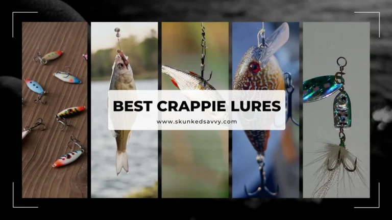 Best Crappie Lures (Everything Considered)