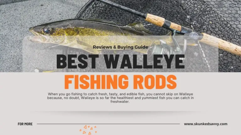 Best Walleye Fishing Rods
